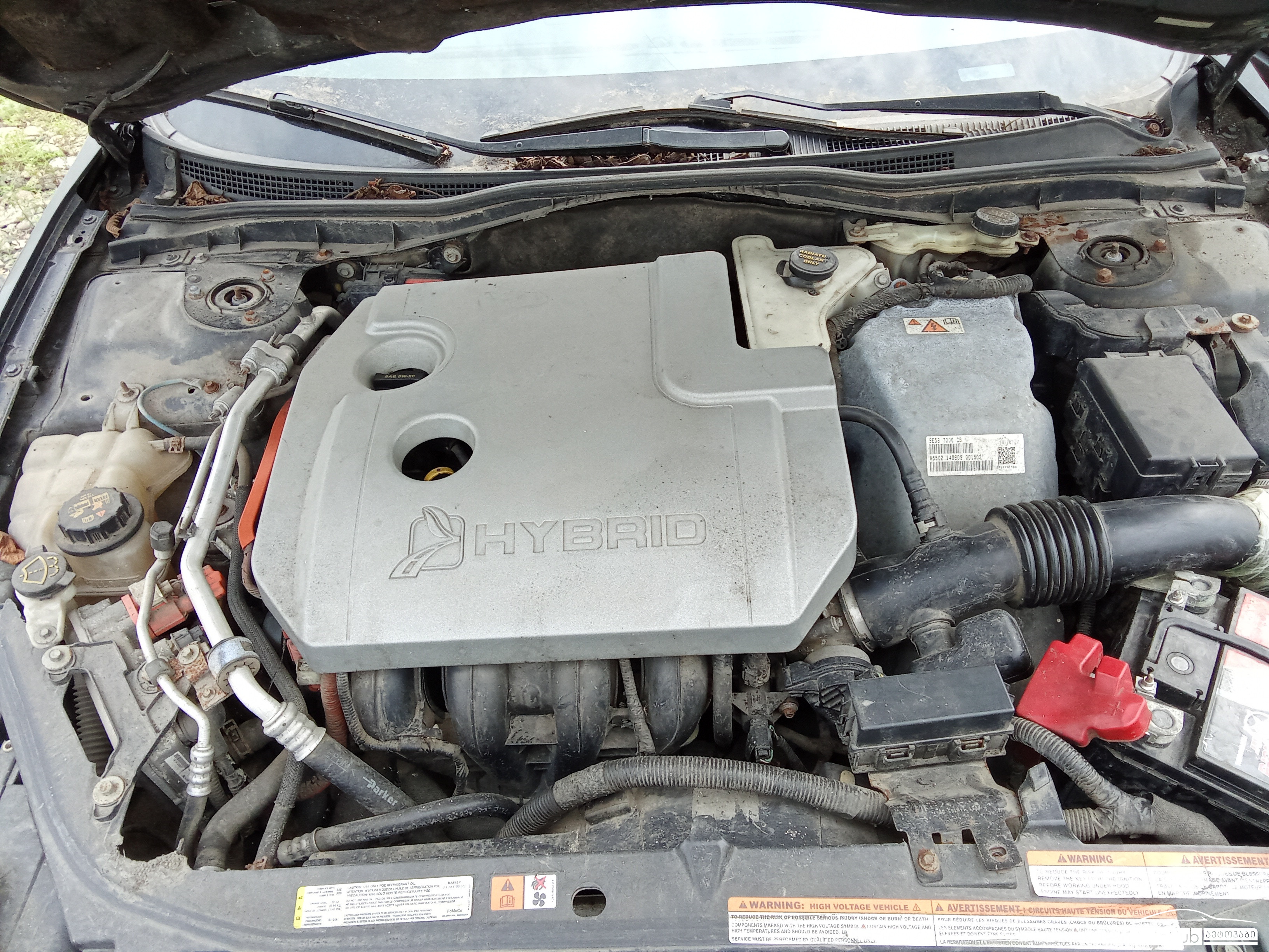FORD Fusion